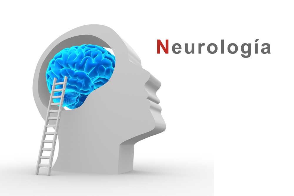 Semana del cerebro: el 20 % de la población española convive con alguna enfermedad neurológica